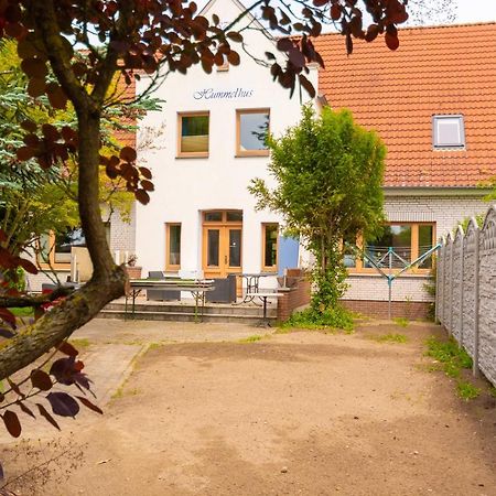 Ostsee Ferienwohnung Hummelhus Steinbeck Екстериор снимка